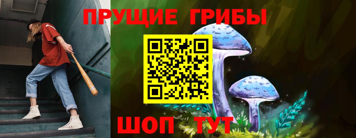Галлюциногенные грибы Psilocybine cubensis Магадан