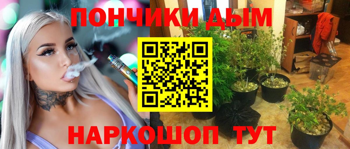 Бошки марихуана Ganja Магадан